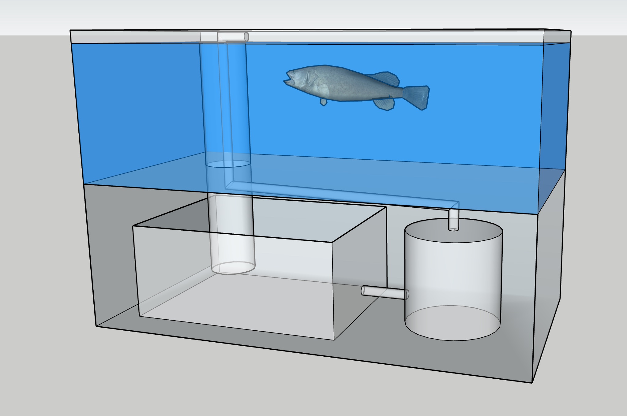 アロワナ　濾過槽無料 アロワナ 濾過槽無料